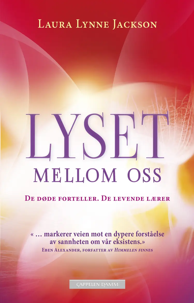Omslag Lyset mellom oss av Laura Lynne Jackson (Heftet)