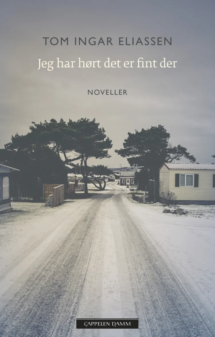 Omslag Jeg har hørt det er fint der av Tom Ingar Eliassen (Ebok)