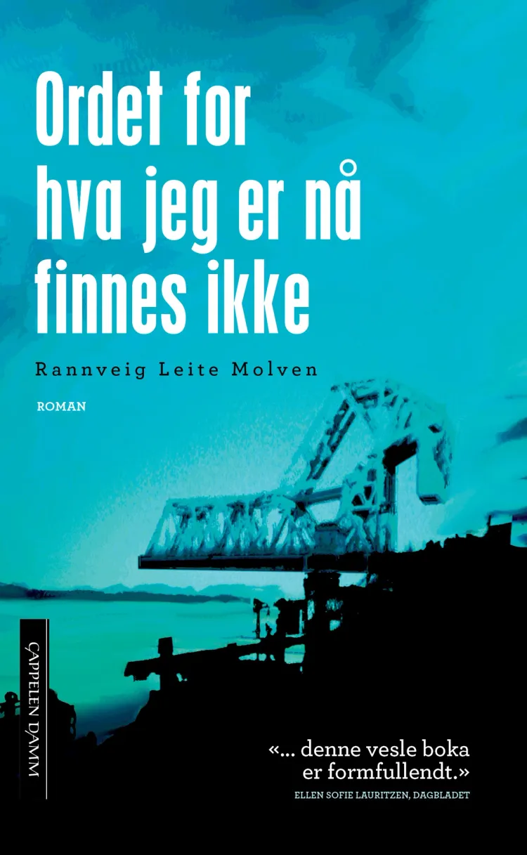 Omslag Ordet for hva jeg er nå finnes ikke av Rannveig Leite Molven (Heftet)
