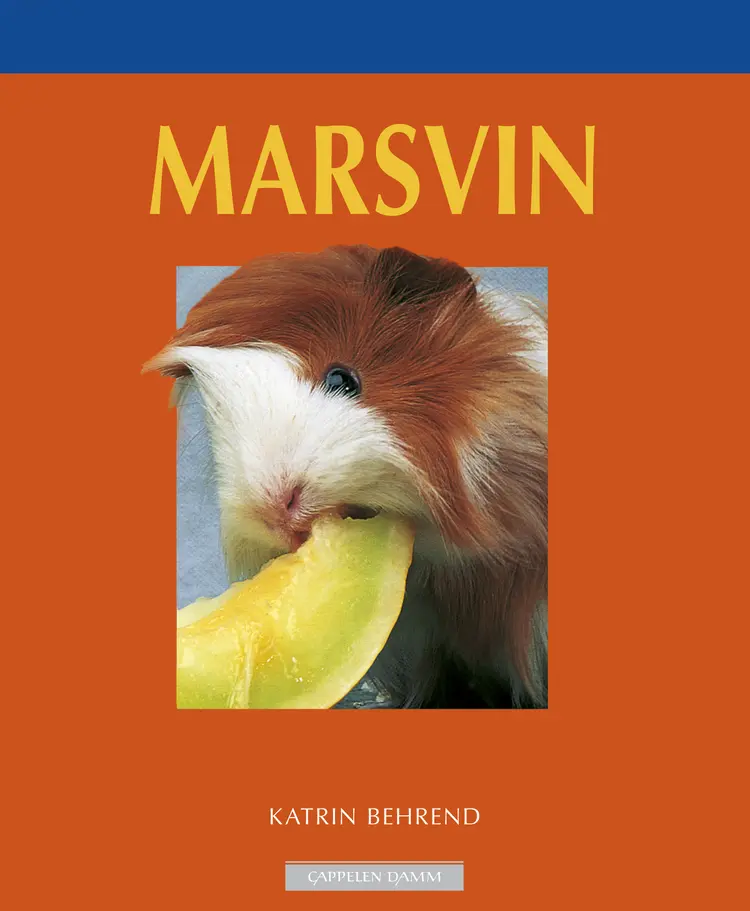 Omslag Marsvin av Katrin Behrend (Heftet)