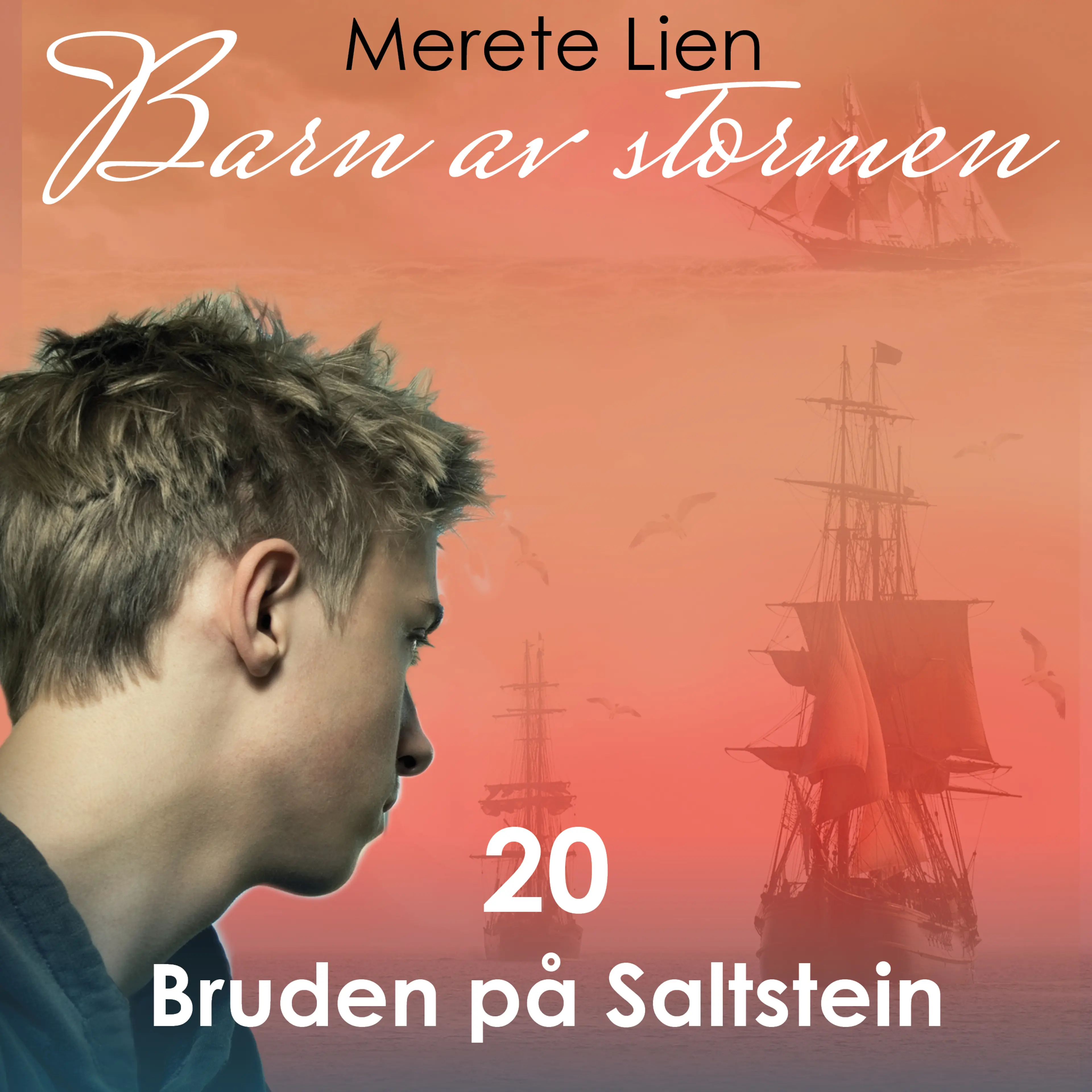 Omslag Bruden på Saltstein av Merete Lien (Lydbok)
