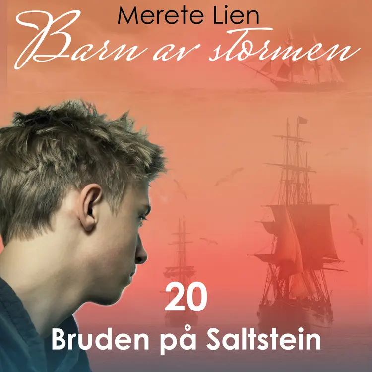 Omslag Bruden på Saltstein av Merete Lien (Lydbok)