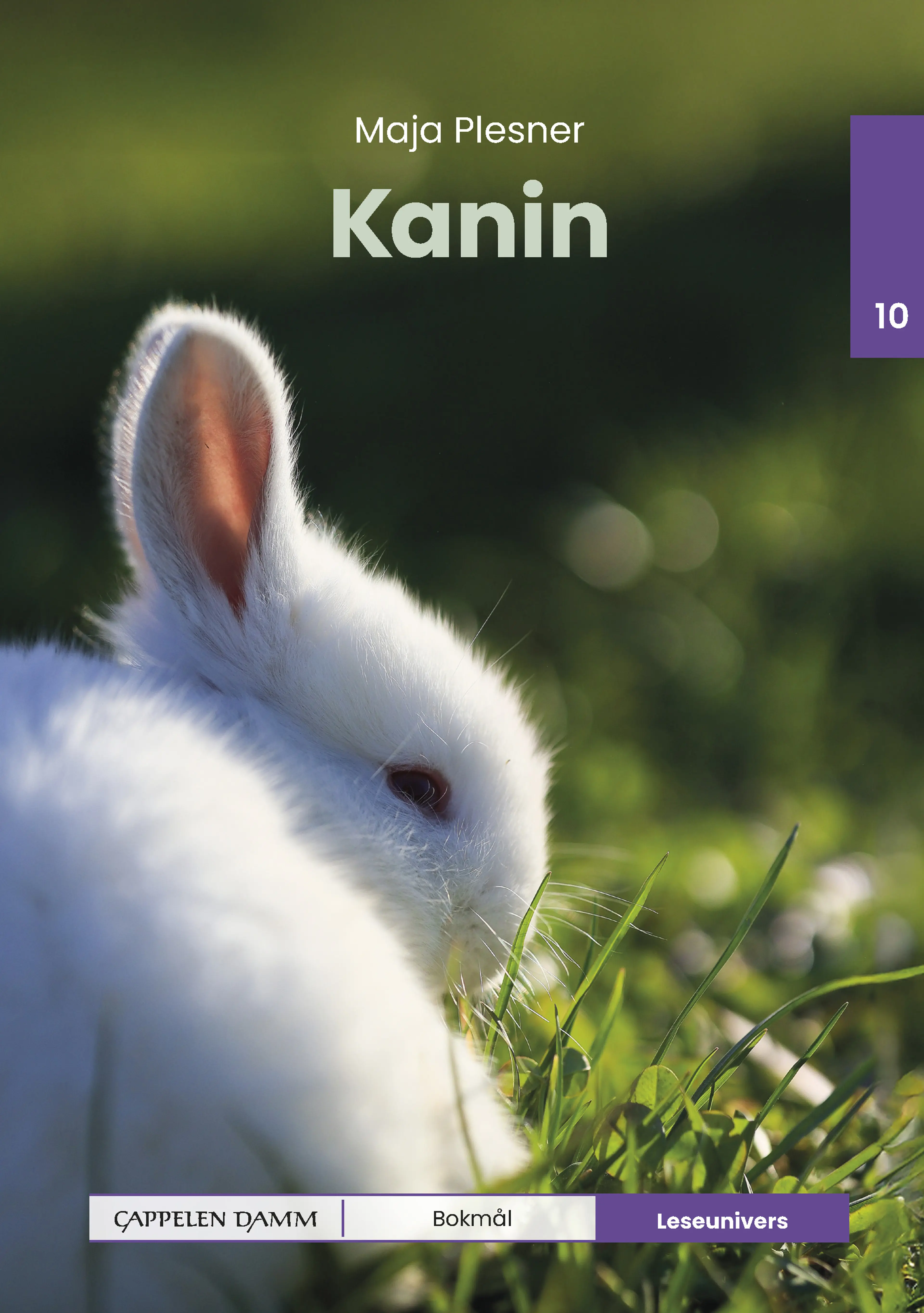 Omslag Leseunivers 10: Kanin av Maja Plesner (Innbundet)