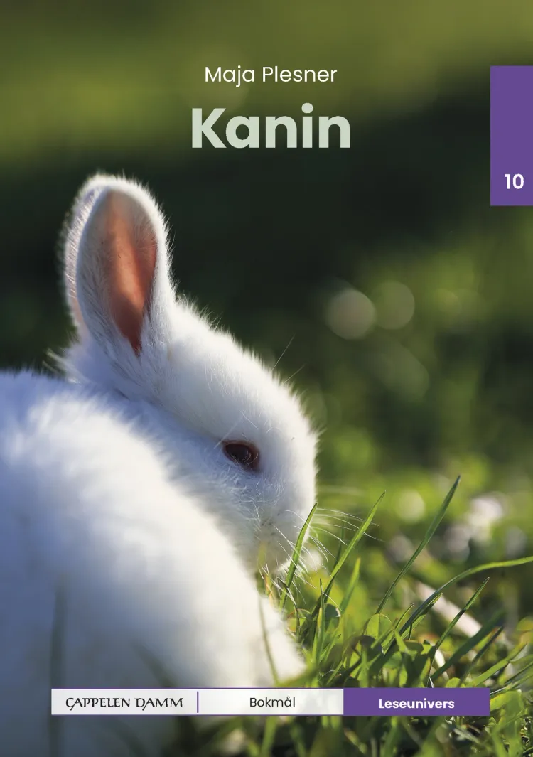 Omslag Leseunivers 10: Kanin av Maja Plesner (Innbundet)
