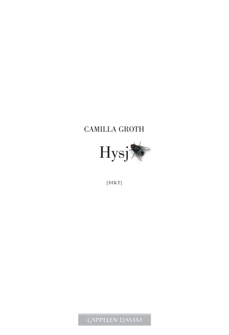Omslag Hysj av Camilla Groth (Heftet)