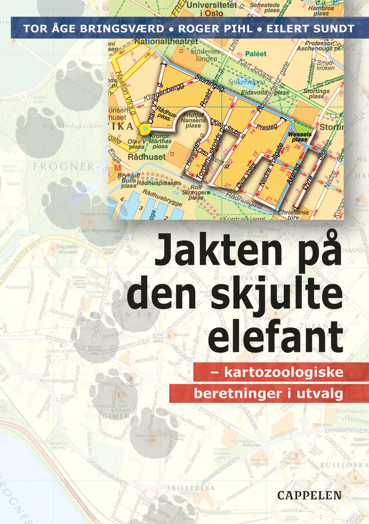 Omslag Jakten på den skjulte elefant av Tor Åge Bringsværd, Roger Pihl og Eilert Sundt (Innbundet)