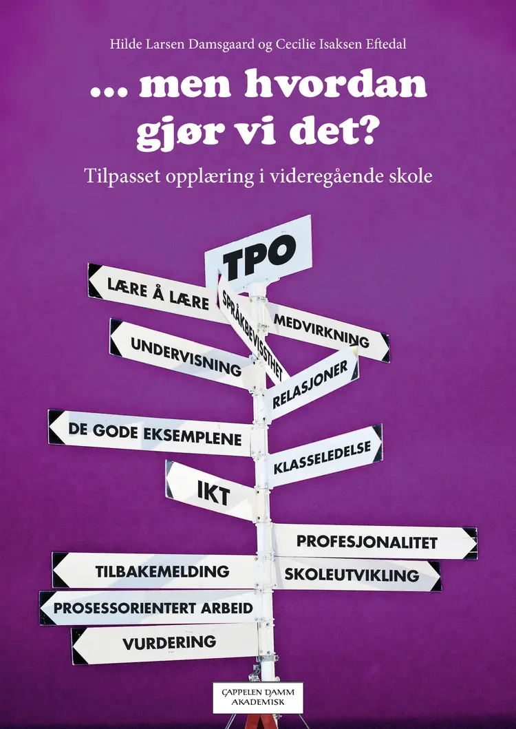 Omslag ...men hvordan gjør vi det? av Hilde Larsen Damsgaard og Cecilie Isaksen Eftedal (Heftet)