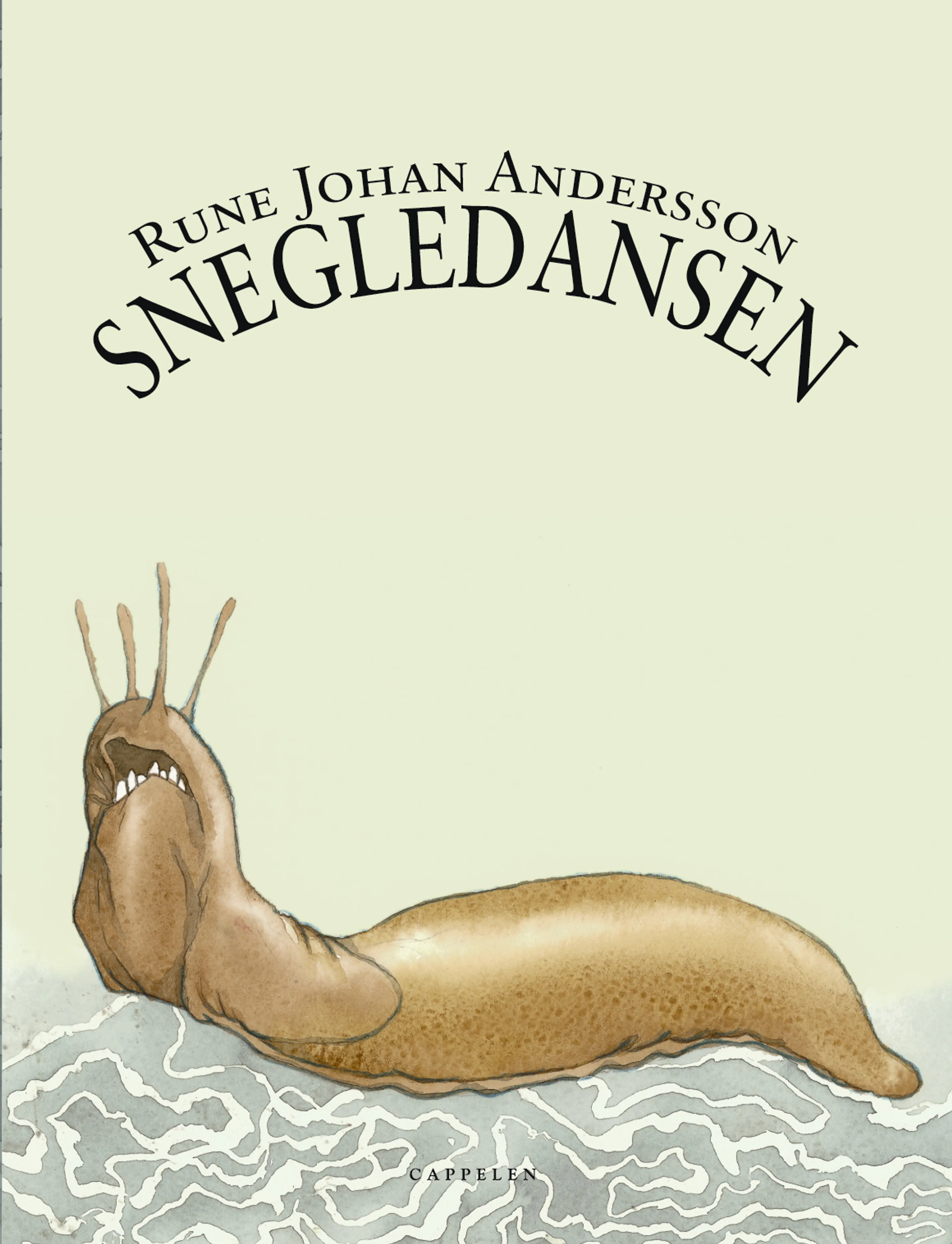Omslag Snegledansen av Rune Johan Andersson (Innbundet)