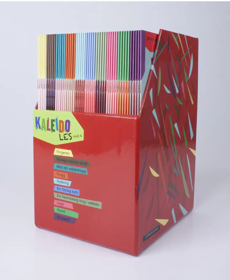 Omslag Kaleido Les Nivå 4 (boks) av Bjørn Arild Ersland og Janne Aasebø Johnsen (Eske)