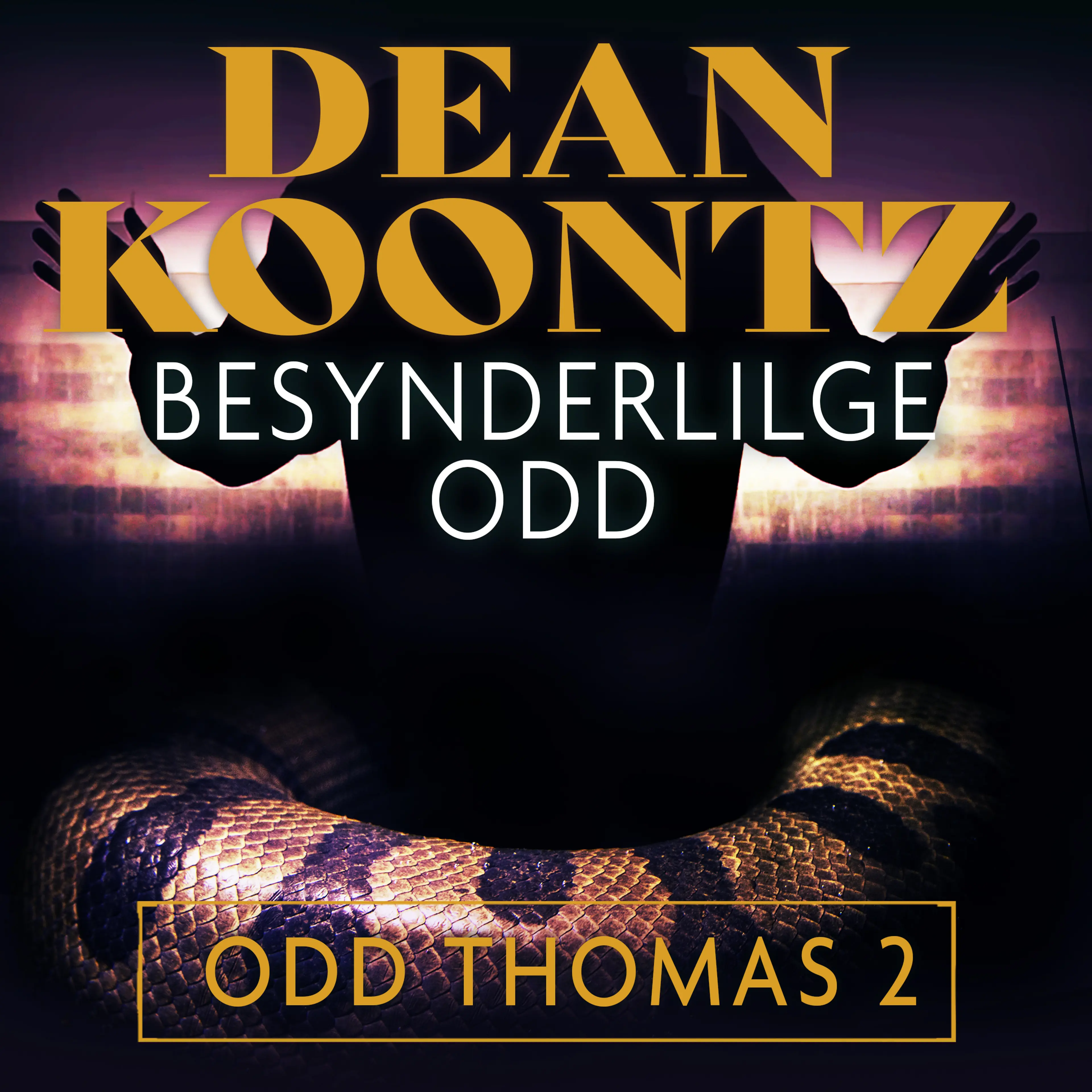 Omslag Besynderlige Odd av Dean Koontz (Lydbok)