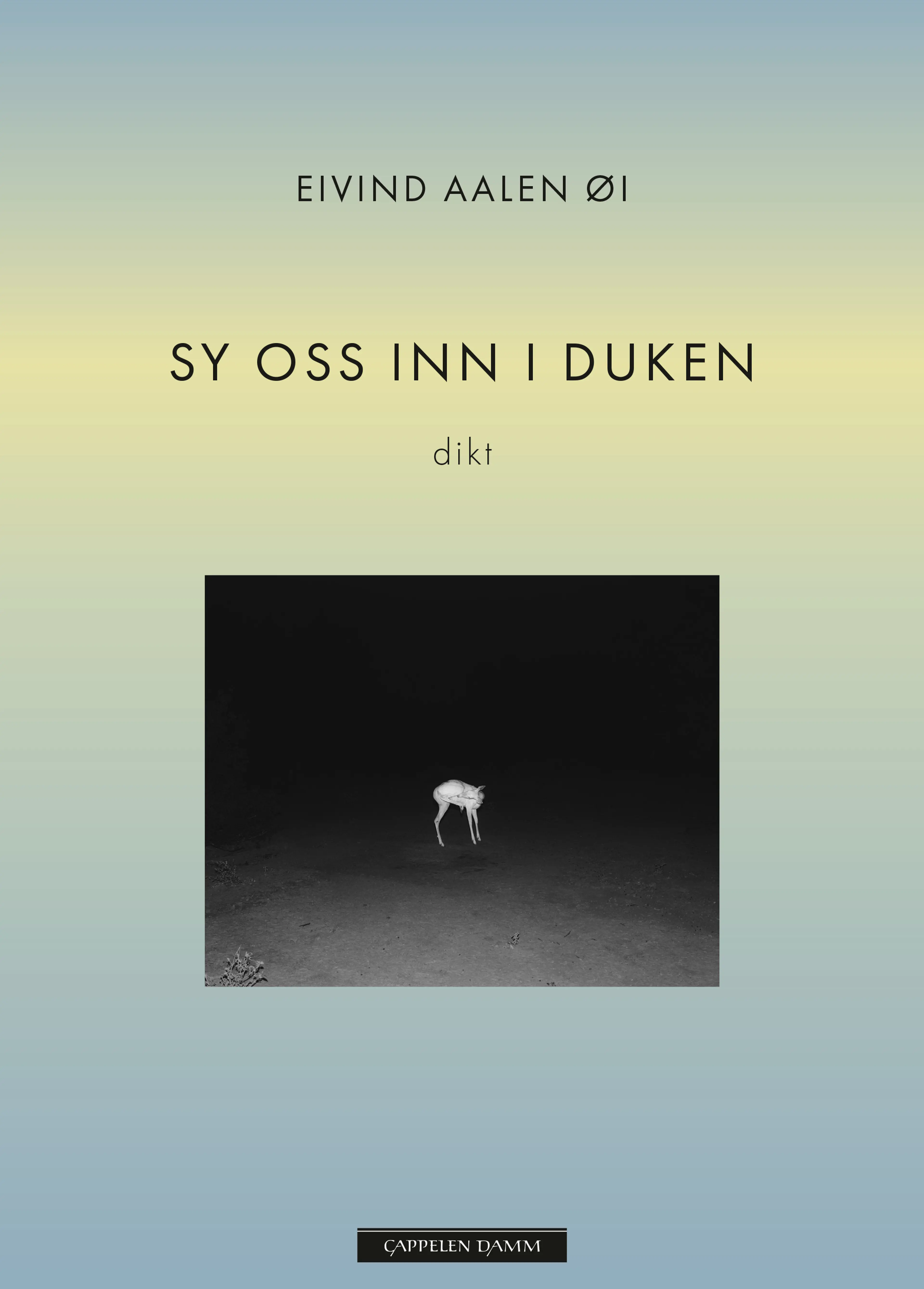 Omslag Sy oss inn i duken av Eivind Aalen Øi (Ebok)