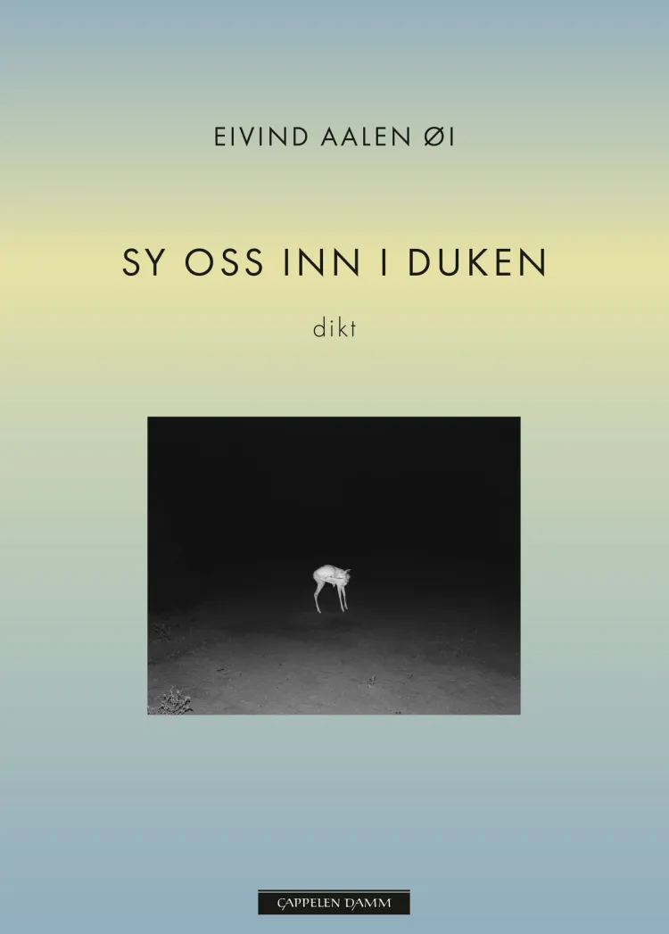 Omslag Sy oss inn i duken av Eivind Aalen Øi (Ebok)