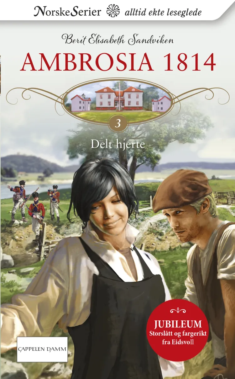 Omslag Delt hjerte av Berit Elisabeth Sandviken (Ebok)