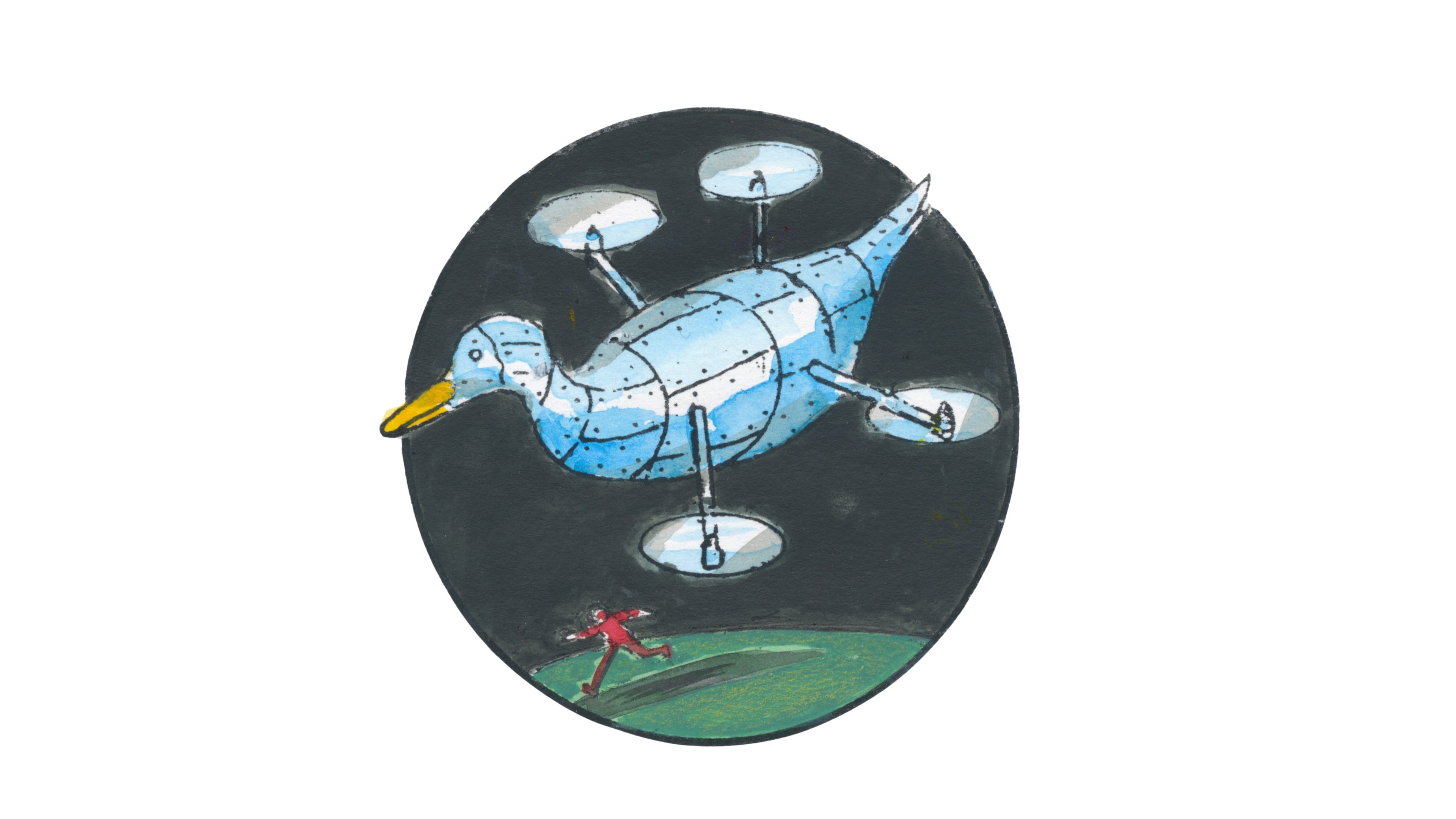 Decoy drones