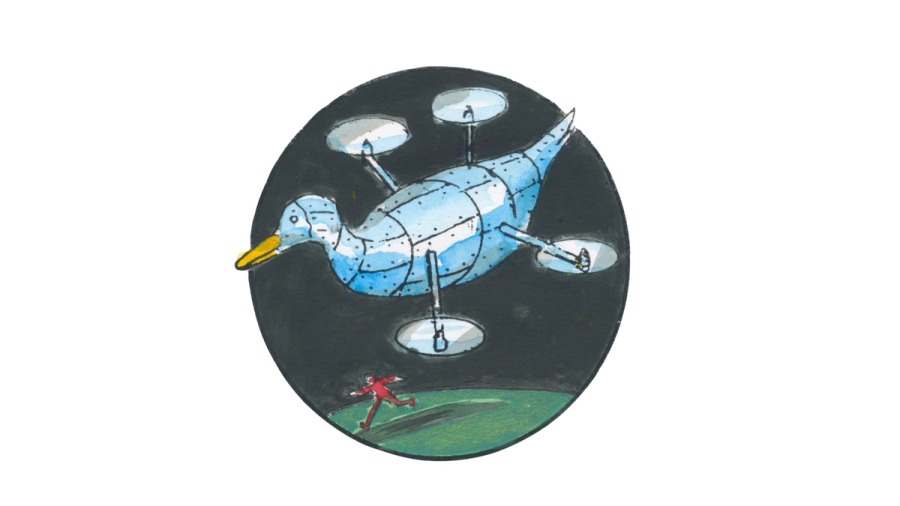 Decoy drones
