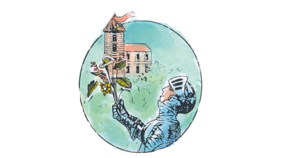 Stinzenplanten