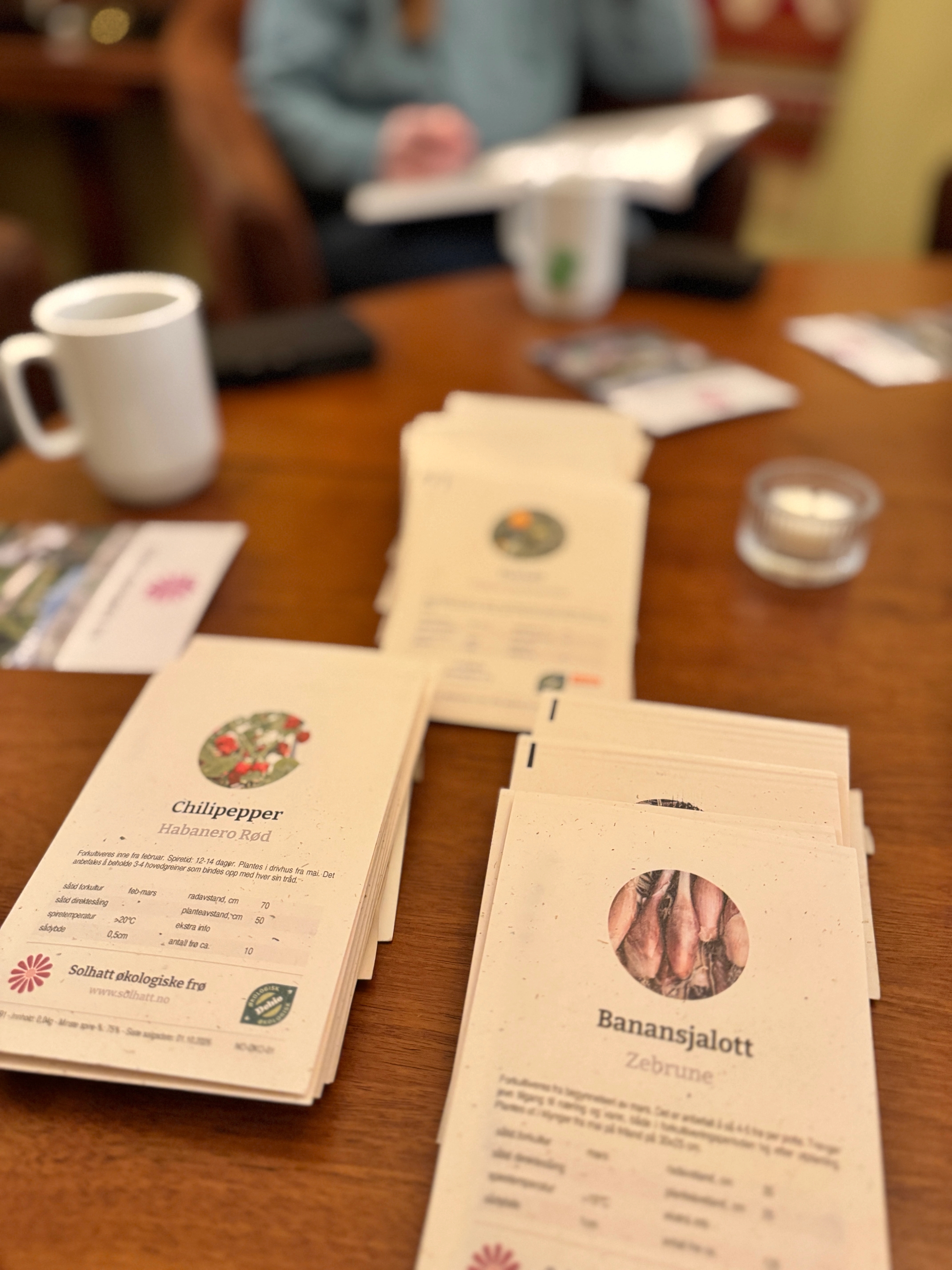 Bord med frø klart til å så