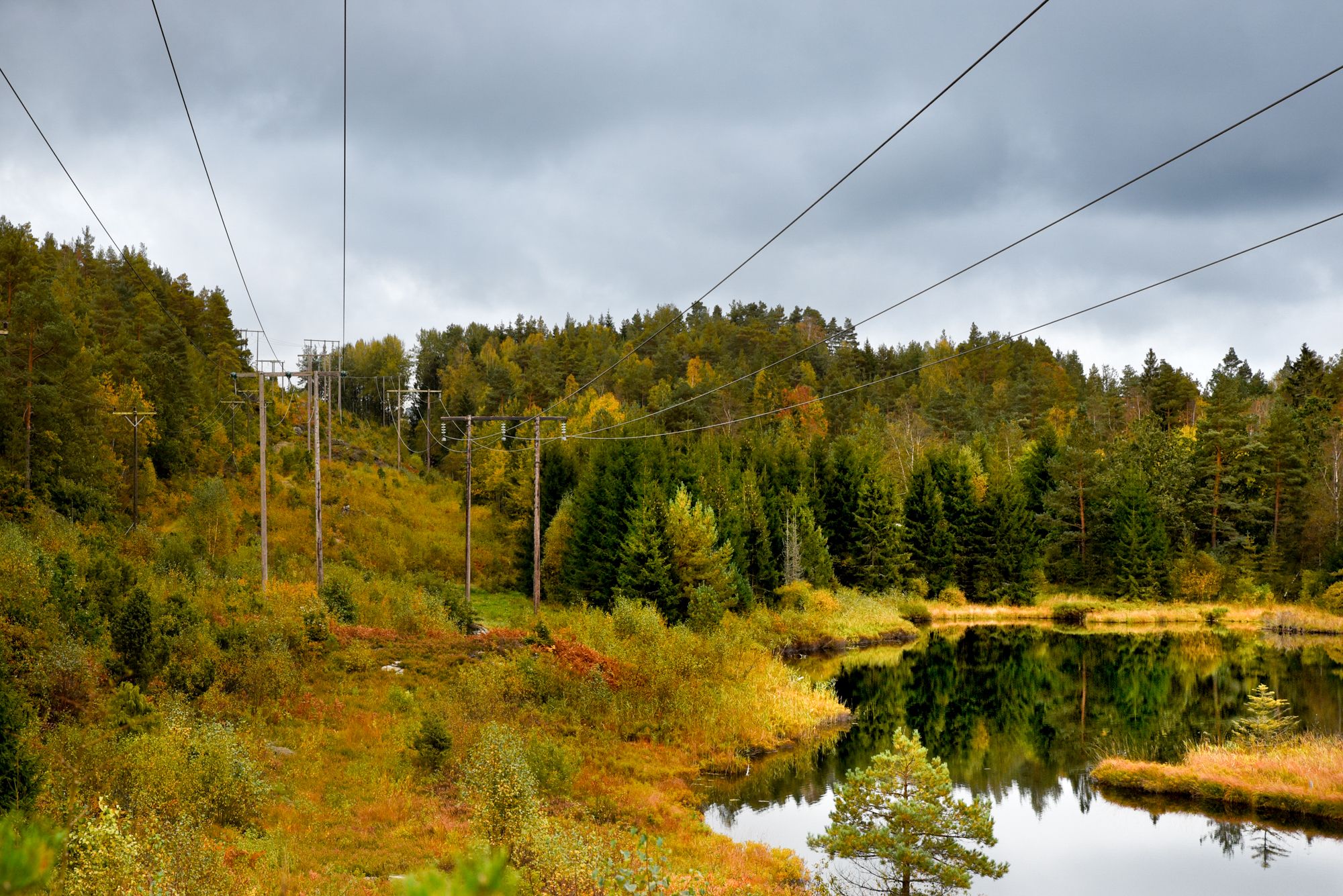Landskap i høstfarger. skog, vann og strømnett.