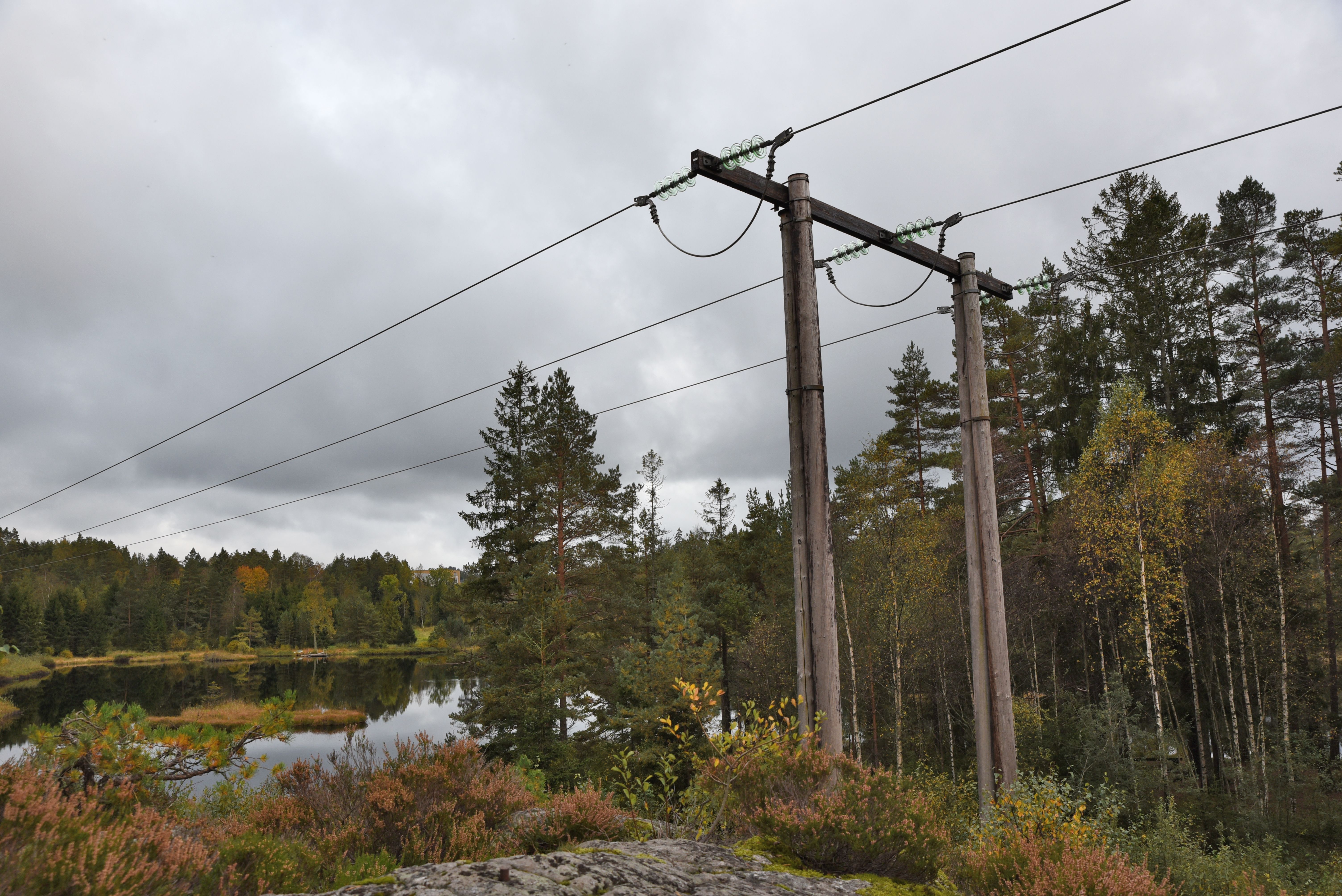 Strømmast og skog