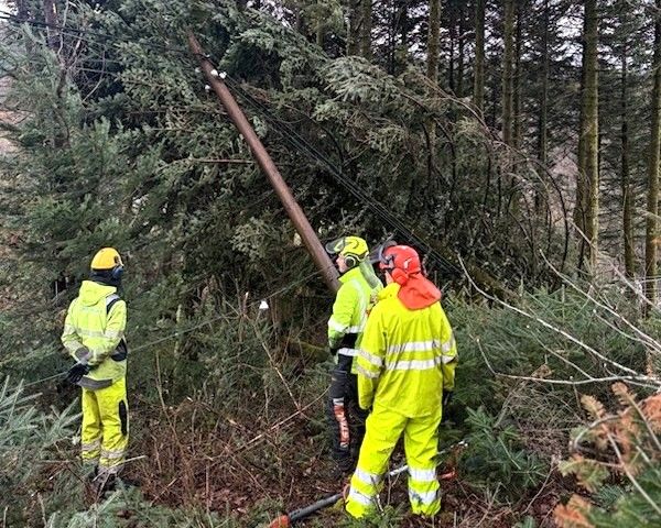 Tre over strømledning. Montører i arbeid.
