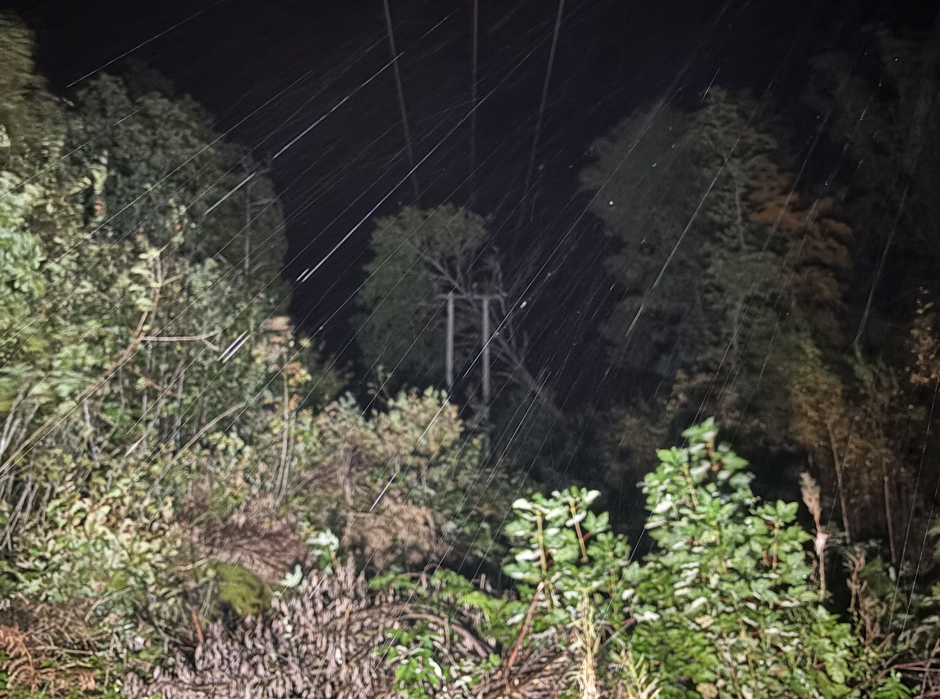 natt. tre over strømlinje og mast