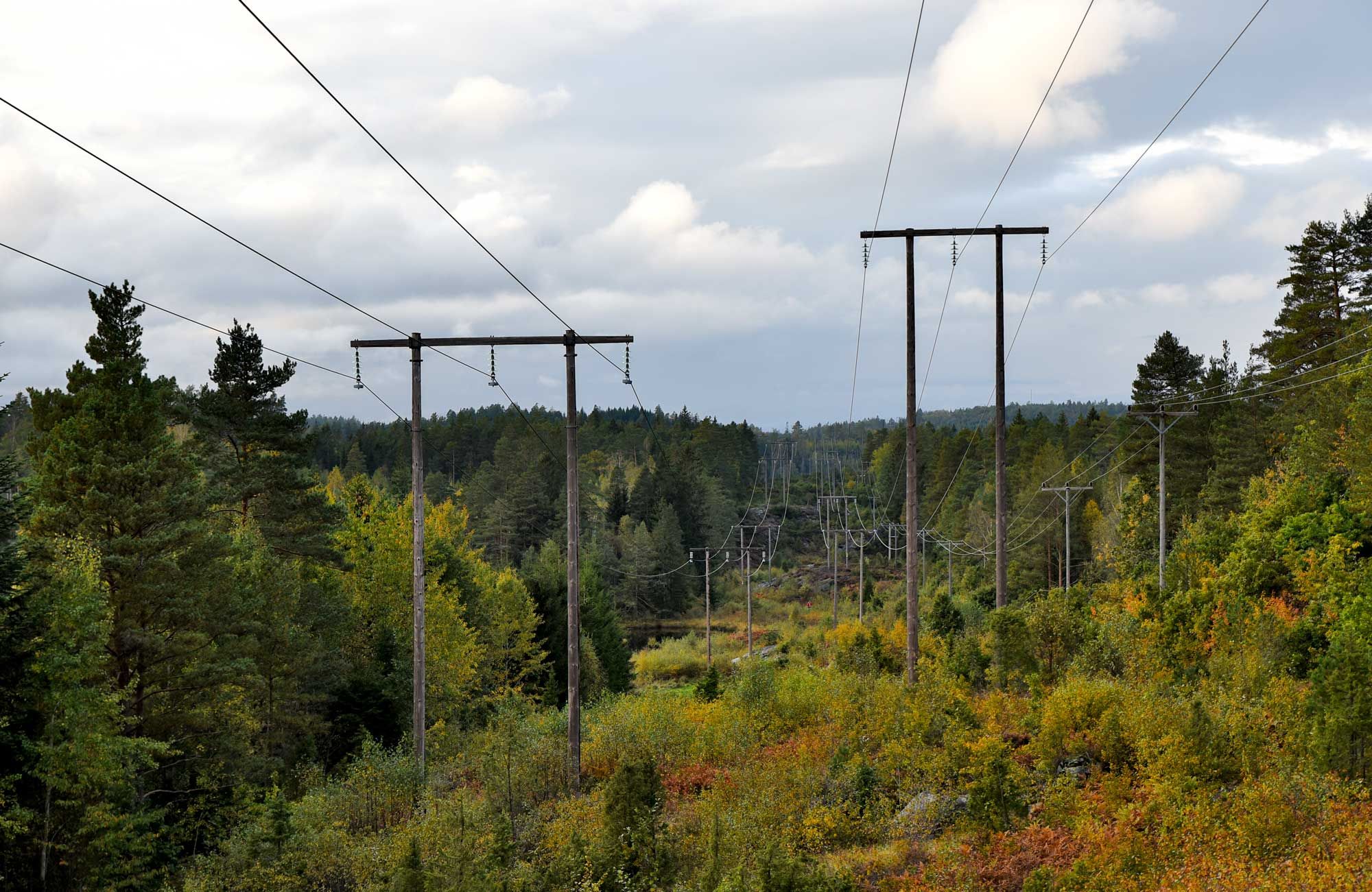 Strømnett natur høstfarger