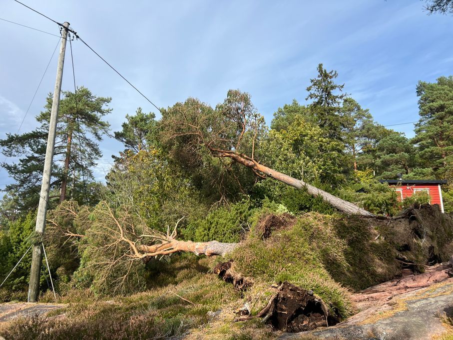 Natt, tre som ligger over strømlinje og strømmast