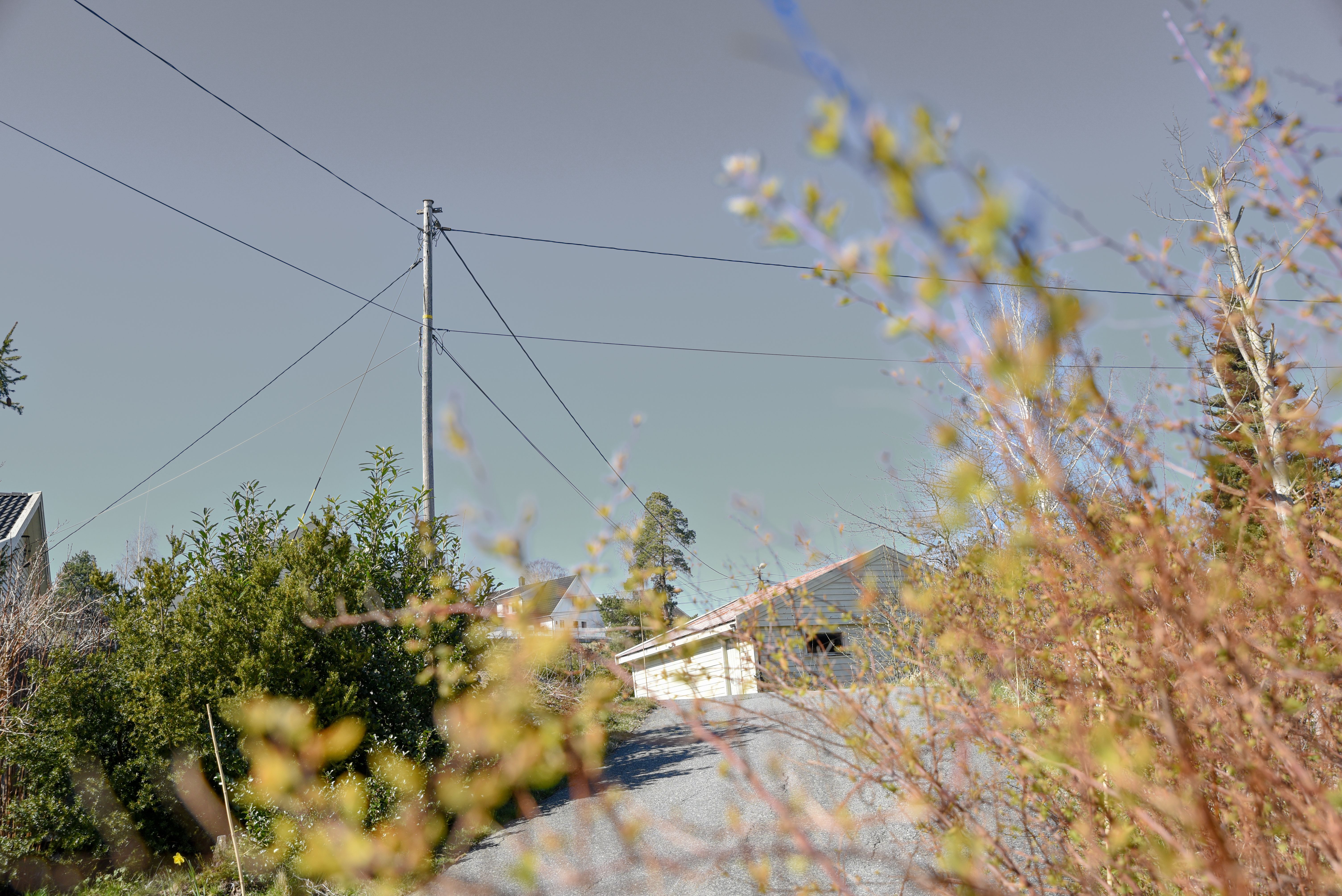 Busker langs strømnett