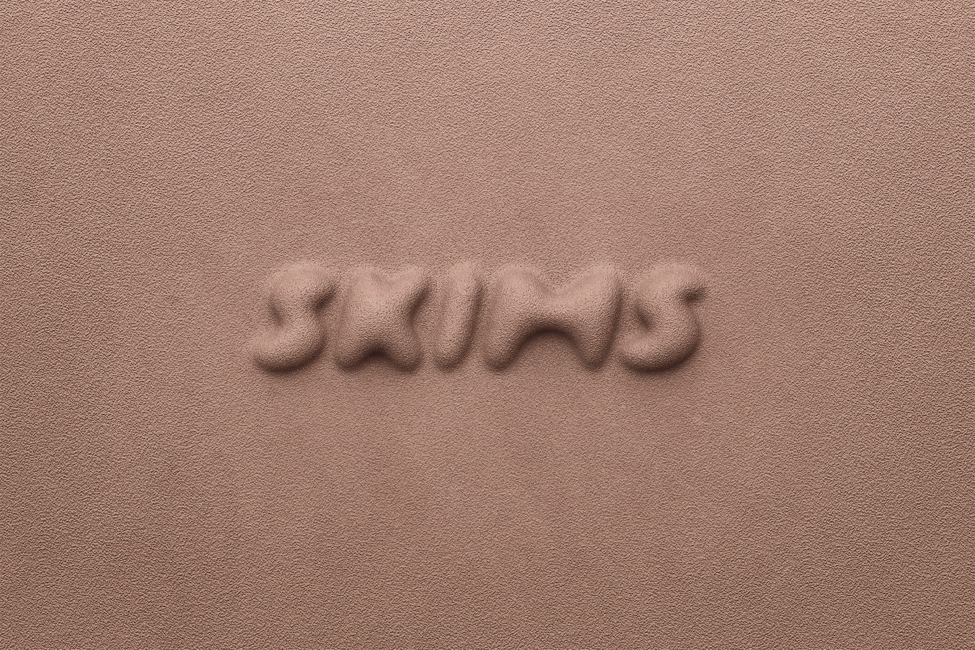 Skims Logo
