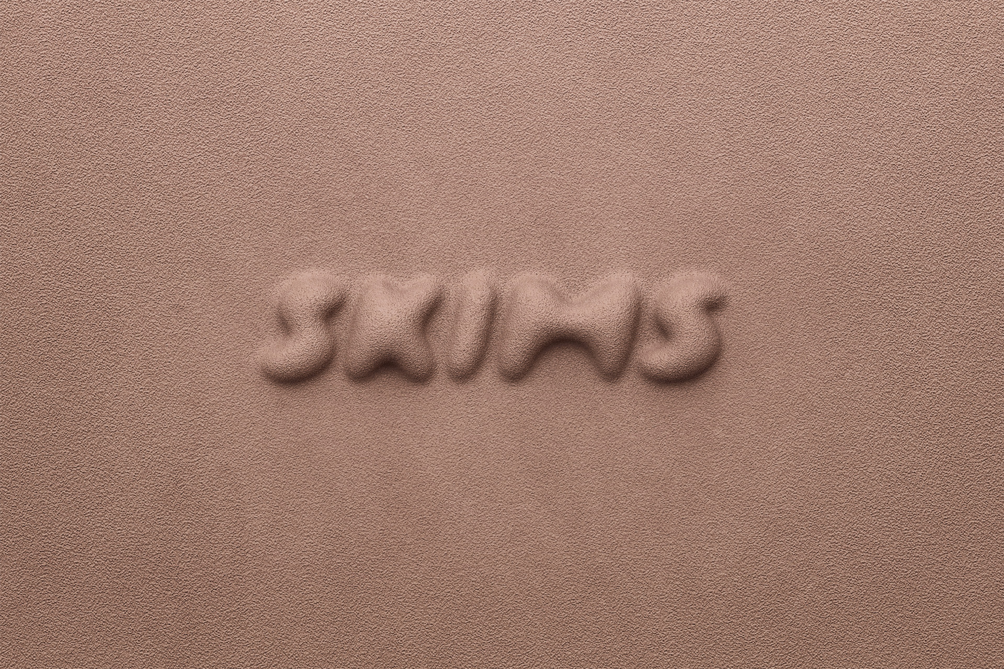 Skims Logo