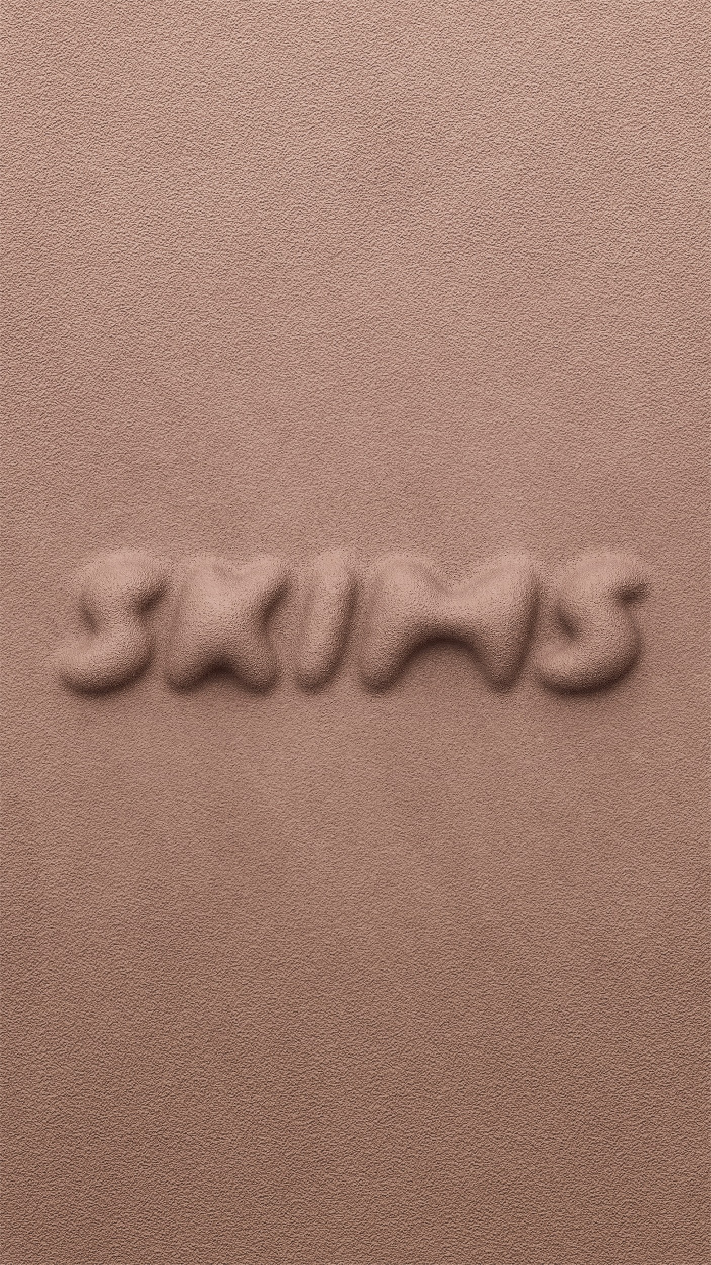 Skims Logo