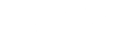 Shopify Shopify