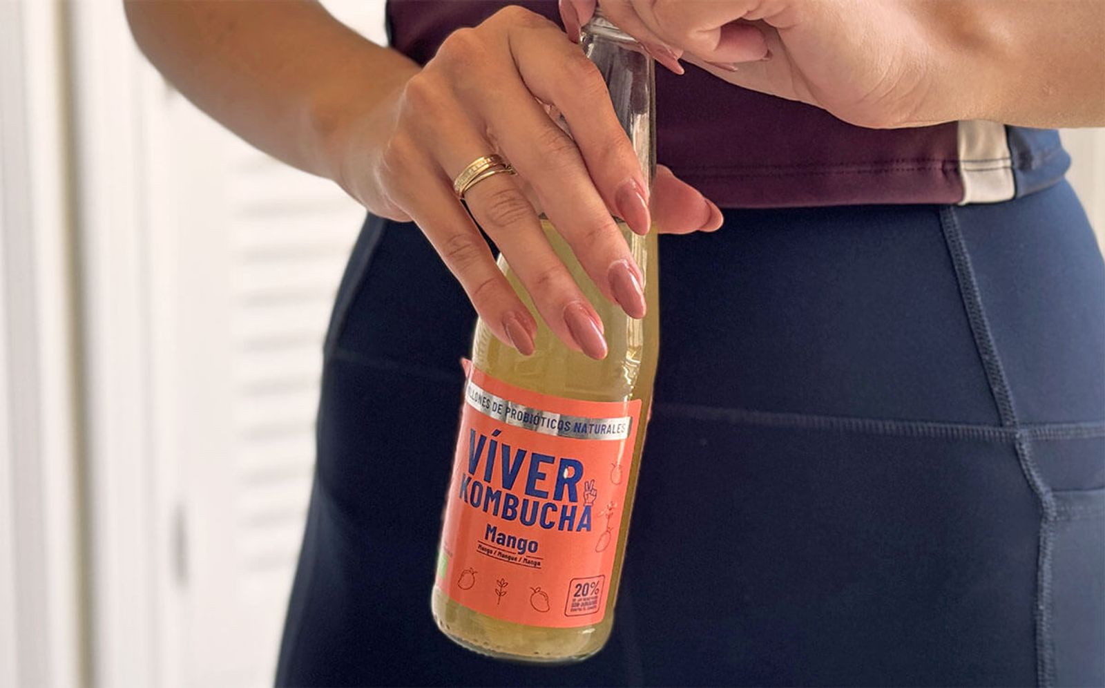 Víver Kombucha Víver Kombucha