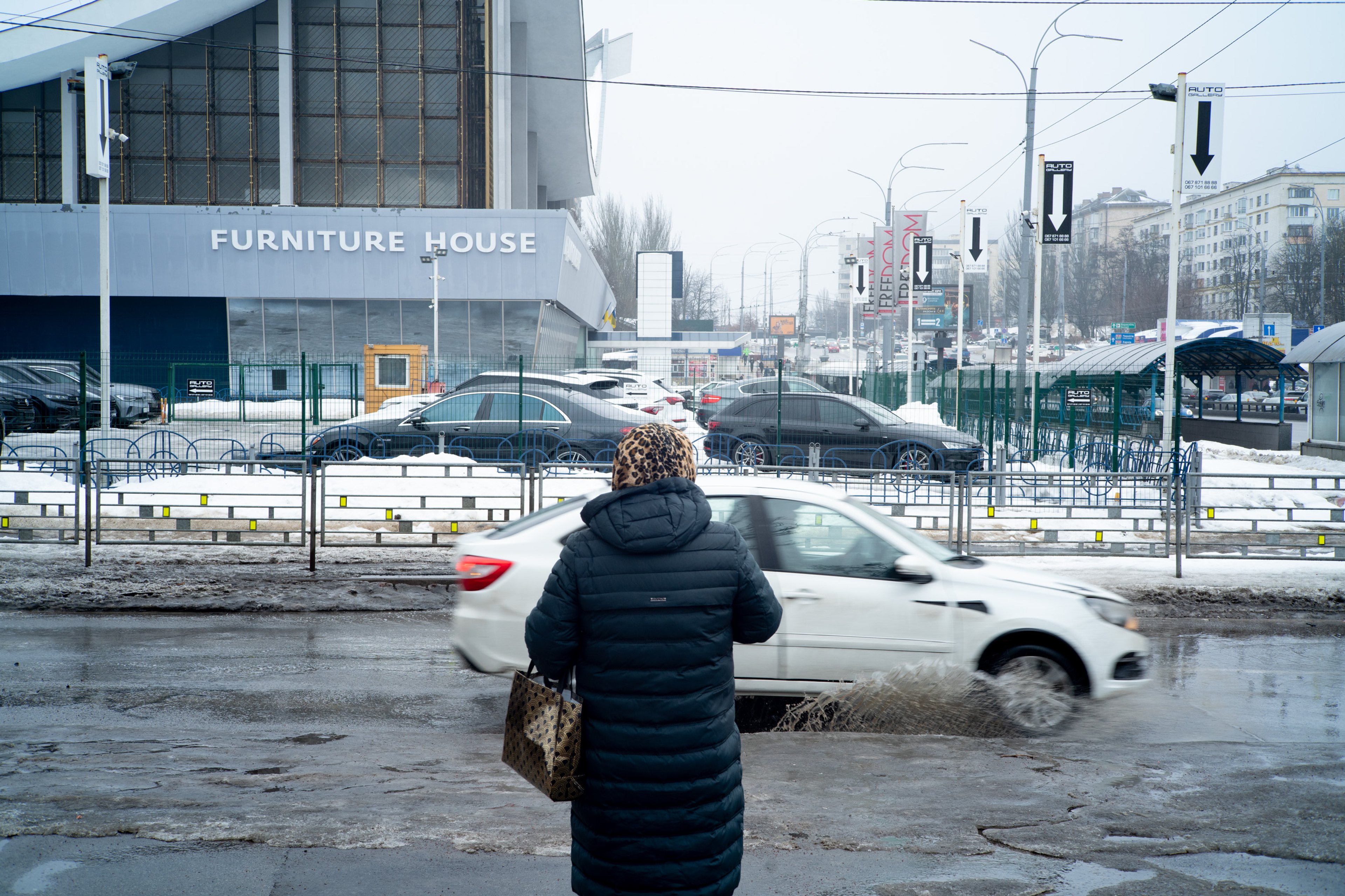 Urban Jungle — frame 12