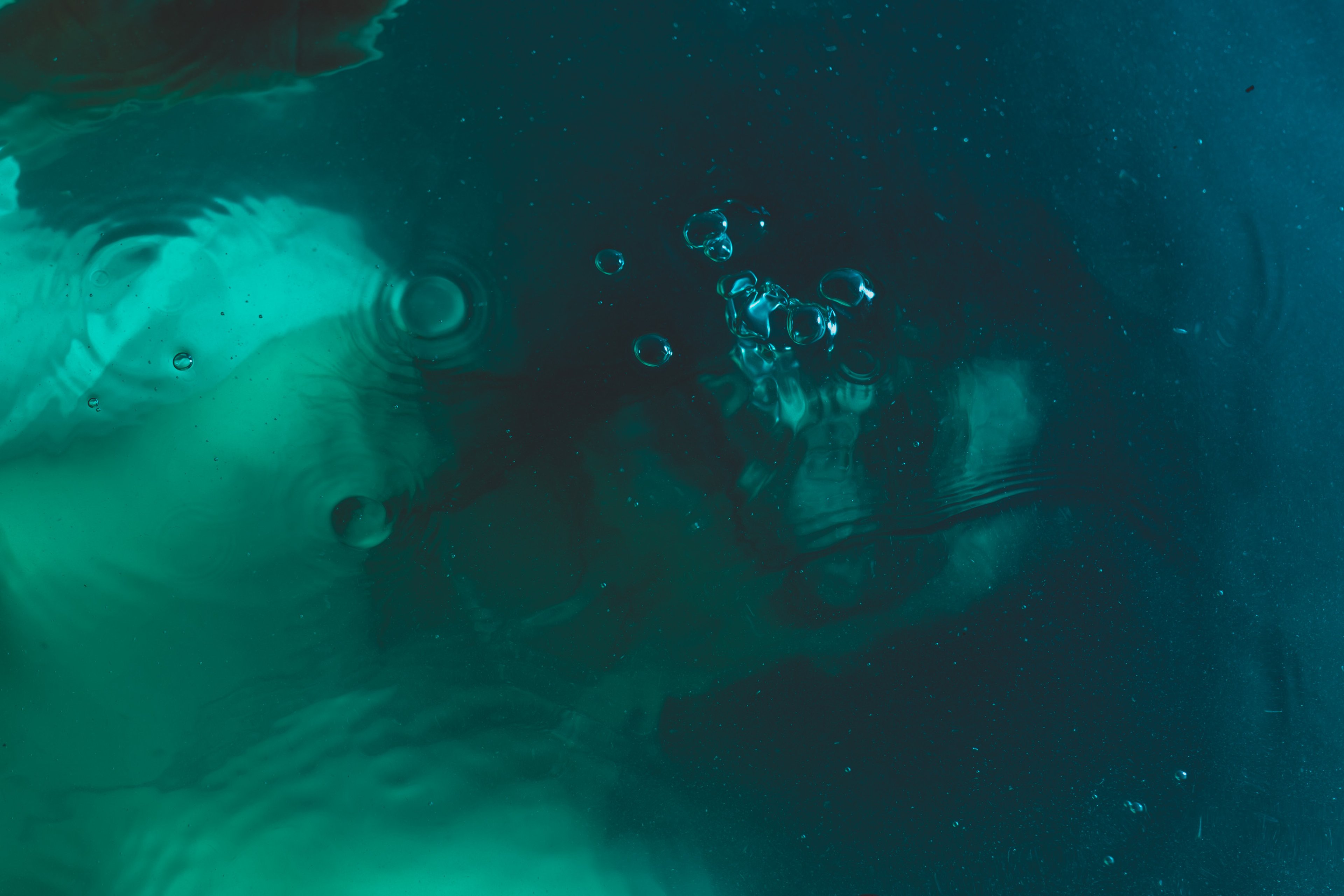 What Water Takes — frame 19