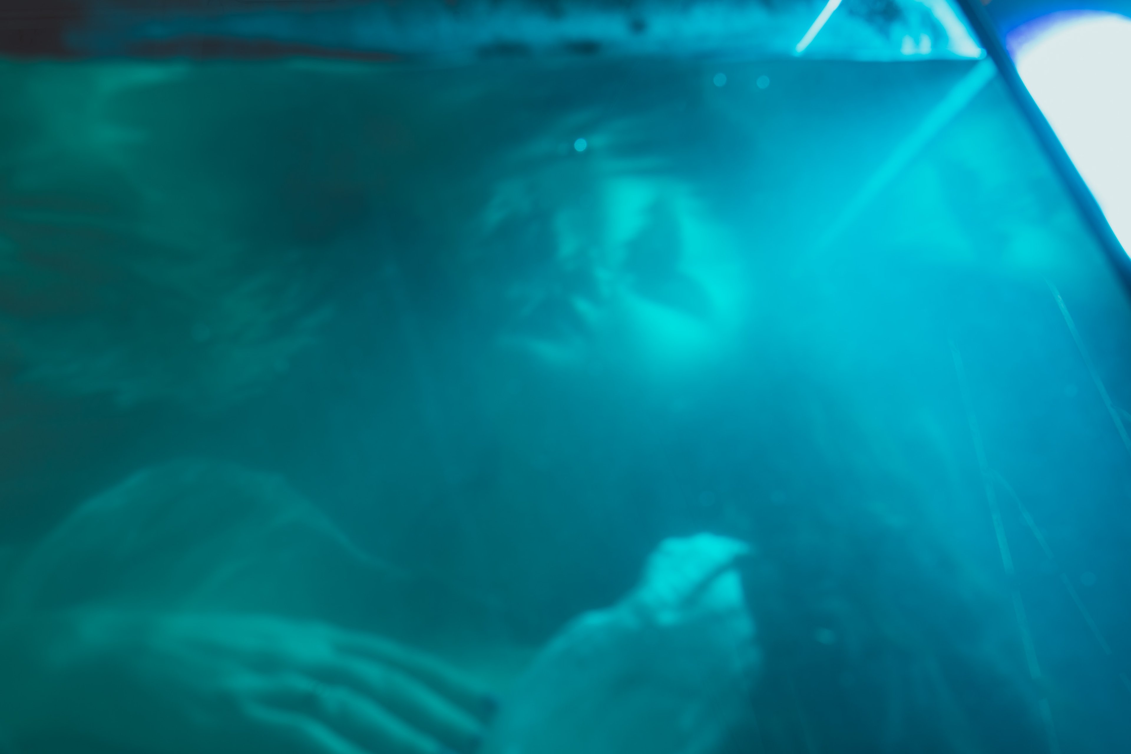 What Water Takes — frame 21