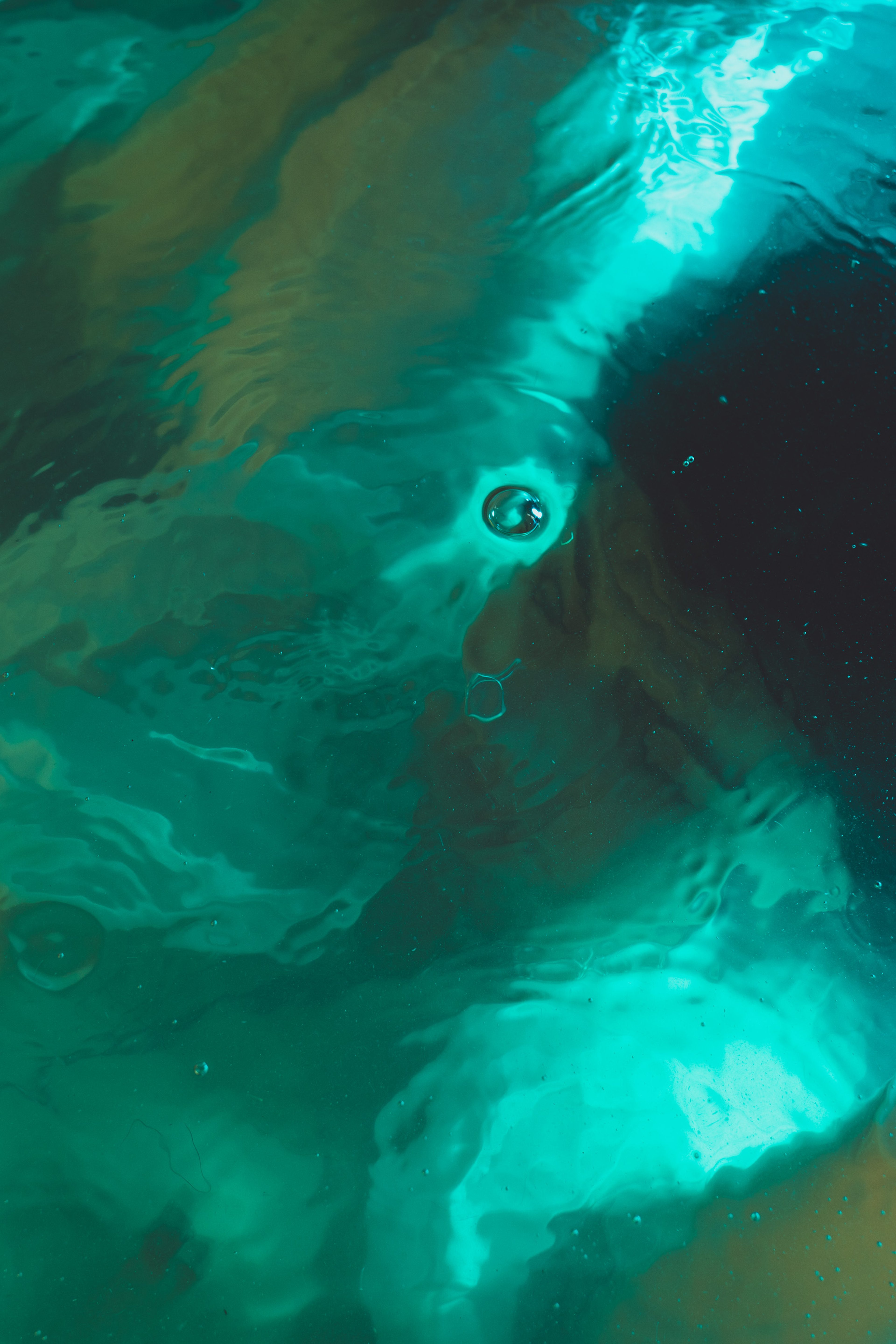 What Water Takes — frame 17
