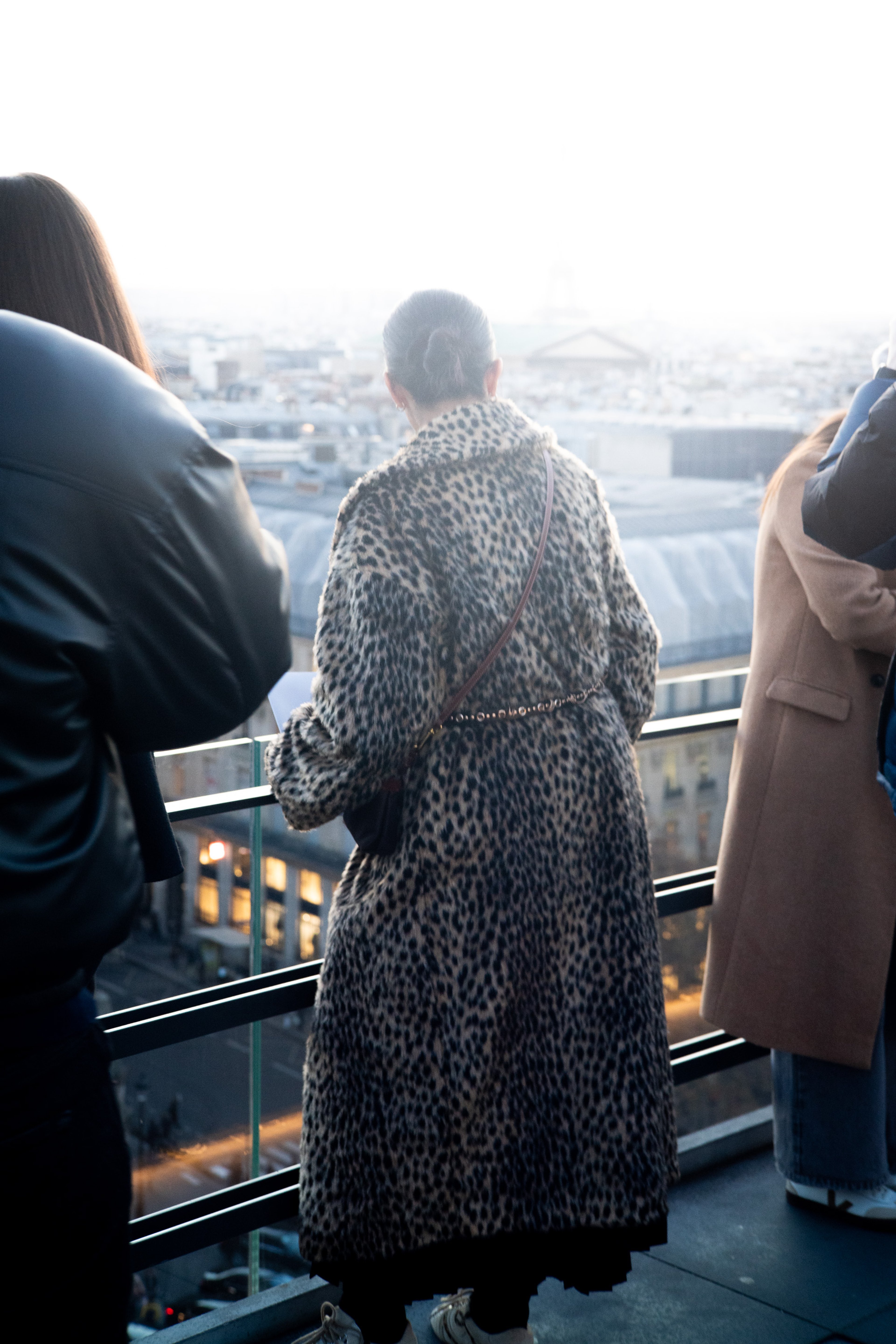 Urban Jungle — frame 2