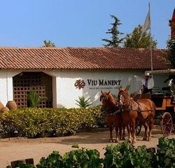 Viña Viu Manent