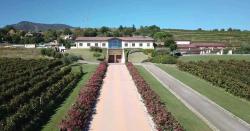 Monte Zovo Azienda Agricola