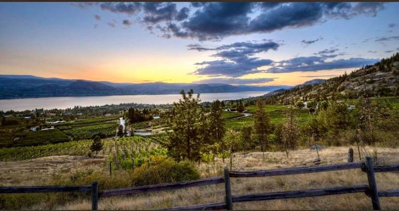 Nichol Vineyards Estate Winery