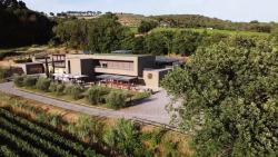 Azienda Agricola Podere La Regola