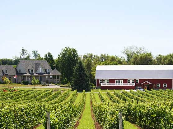 Hillier Creek Estates