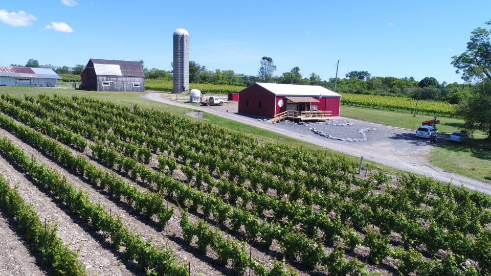 Terra Estate Winery Inc