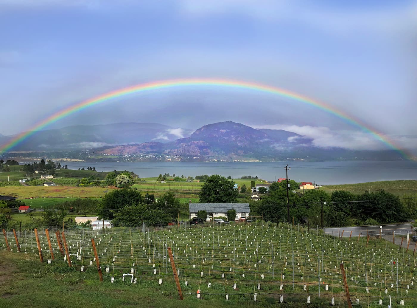 Chain Reaction Winery