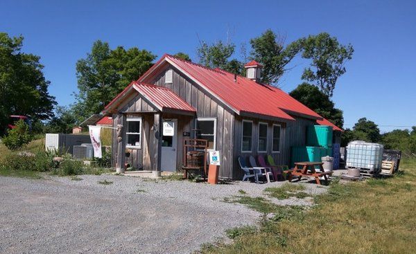 Redtail Vineyard