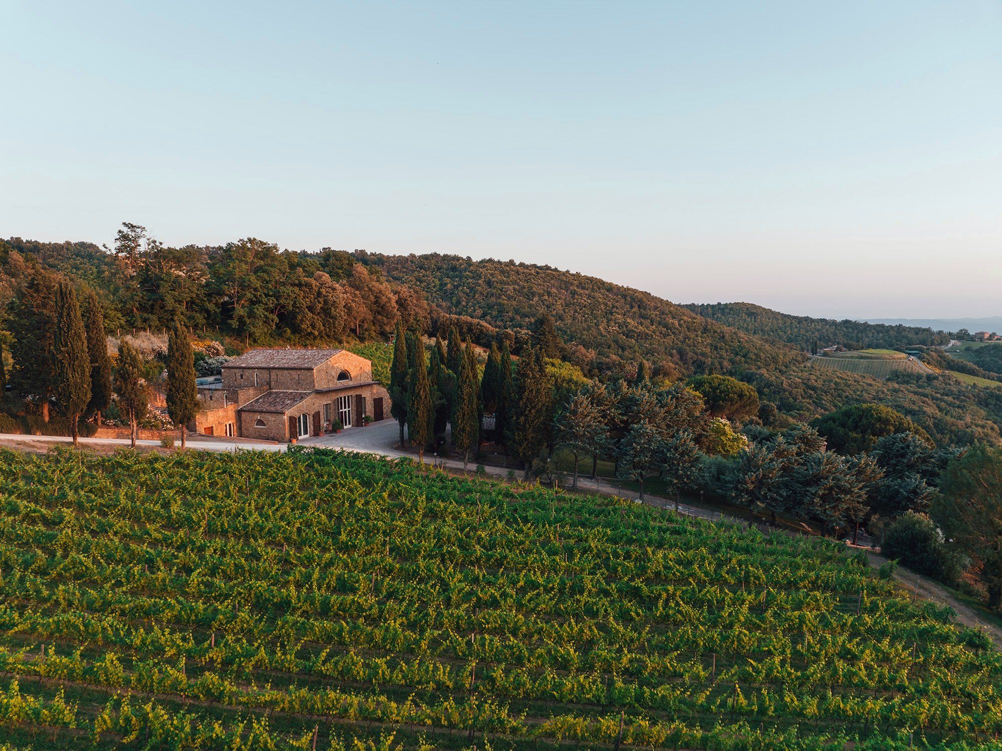 Azienda Agricola Palazzone