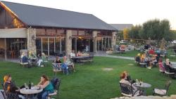 Calcareous Vineyard