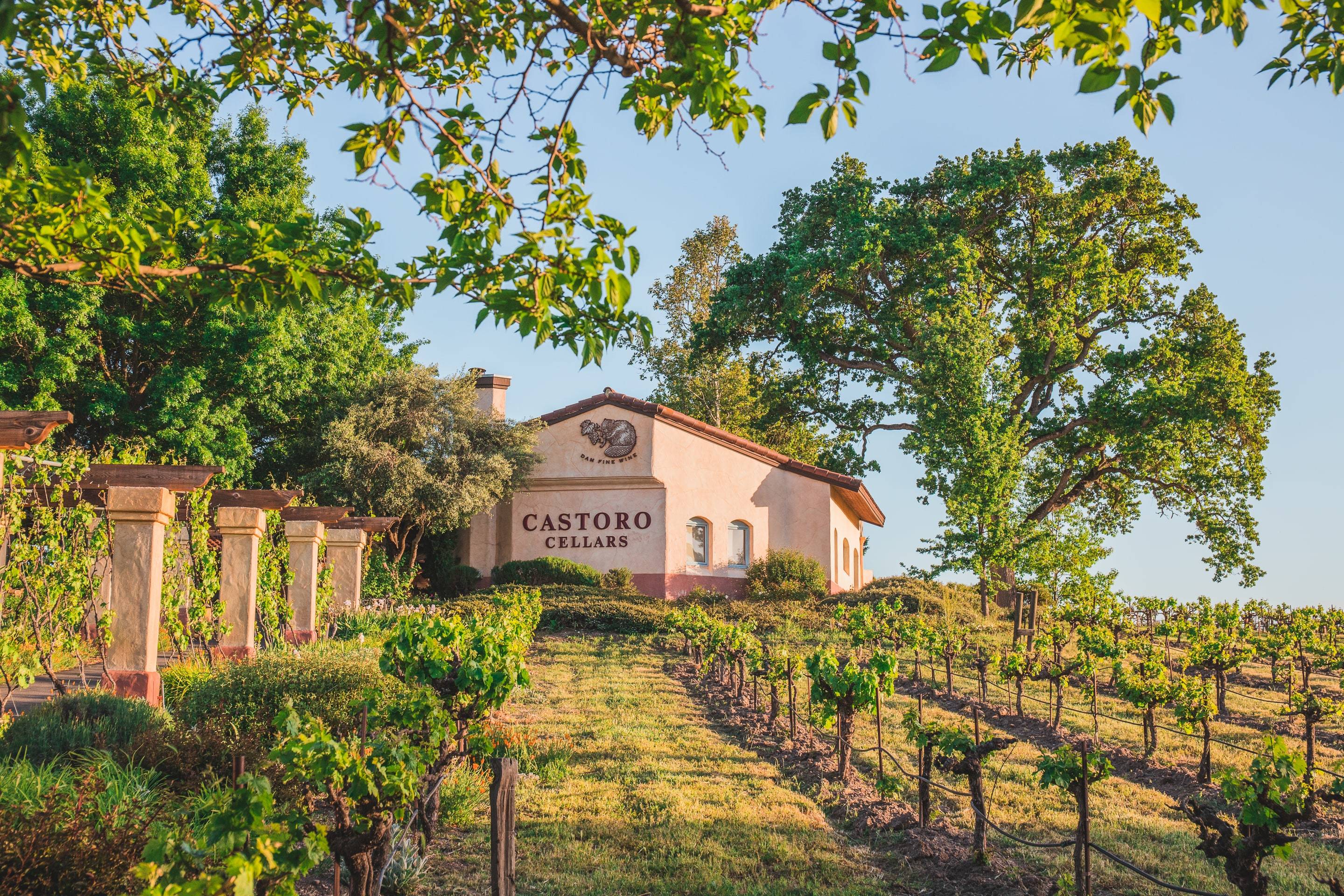 Castoro Cellars
