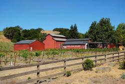 Dark Star Winery